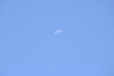 ENSC00413.jpg